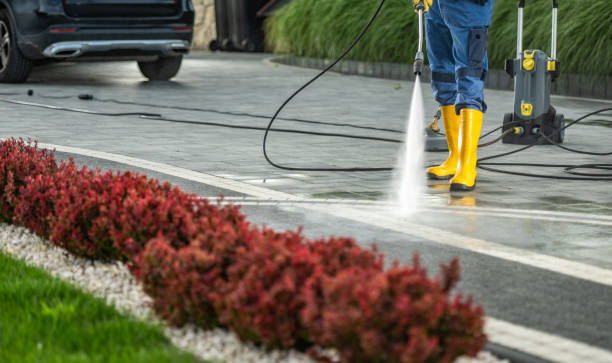 Best Building Exterior Washing  in South Lockport, NY